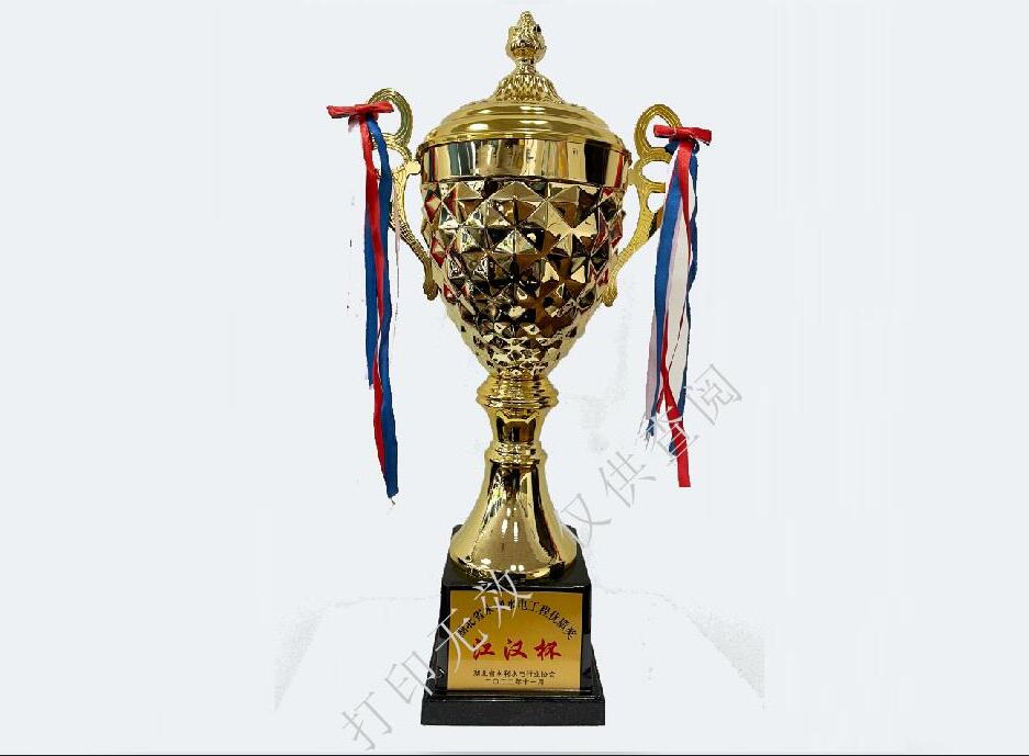 湖北省水利工程優質獎“江漢杯”